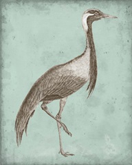 Sepia and Spa Heron III