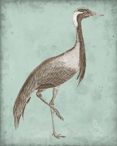 Sepia and Spa Heron III