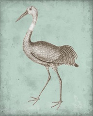 Sepia and Spa Heron IV
