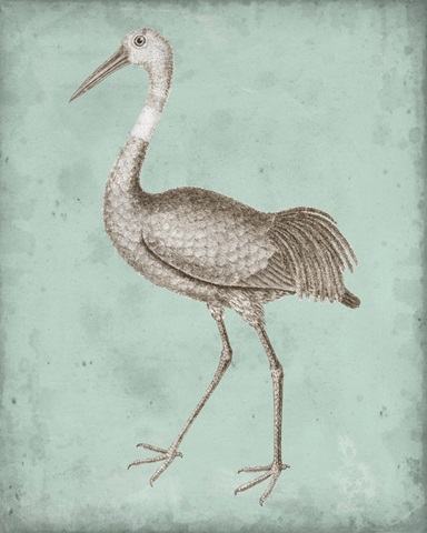 Sepia and Spa Heron IV