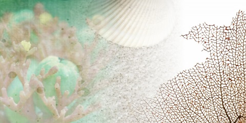 Serene Photo Collage II