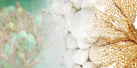 Serene Photo Collage III