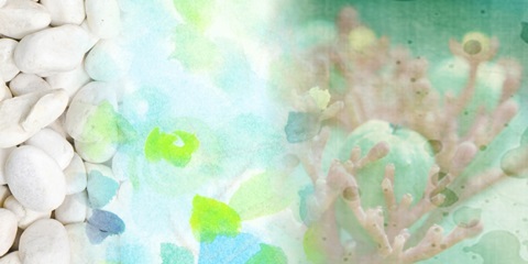 Serene Photo Collage IV