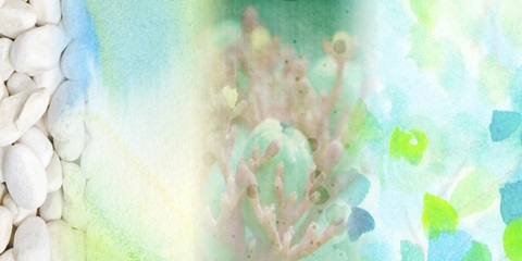 Serene Photo Collage V