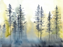 Shadow Forest I