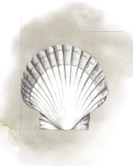 Shell Diagram II