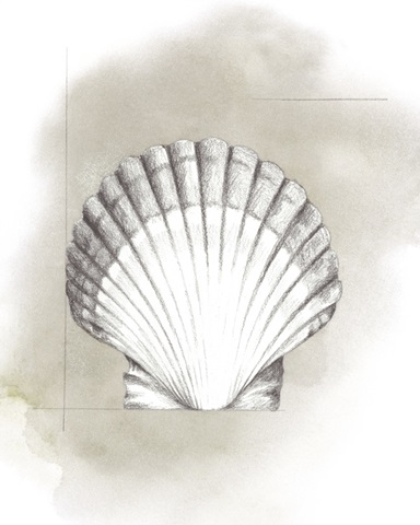 Shell Diagram II