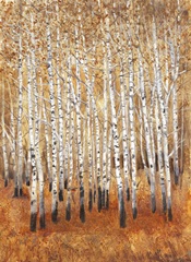 Sienna Birches II