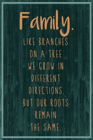 Spice Family Rules III