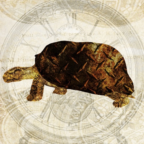 Steam Punk Turtle I