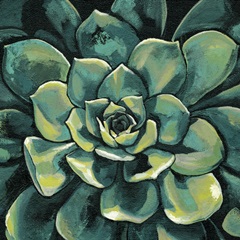 Succulent Bloom I