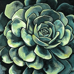 Succulent Bloom II