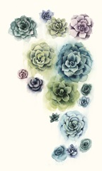 Succulent Cluster I