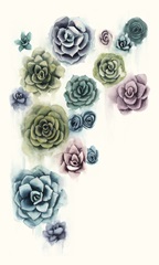 Succulent Cluster II