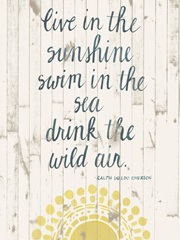 Sun Quote IV