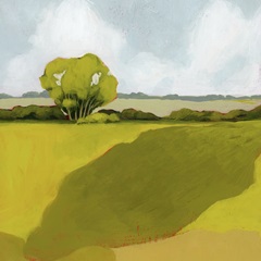 Sunkissed Solitude I