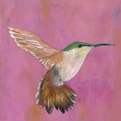 Sweet Hummingbird I