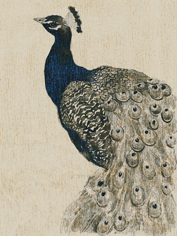 Textured Peacock II