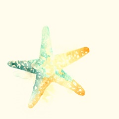 Tidal Impressions IV