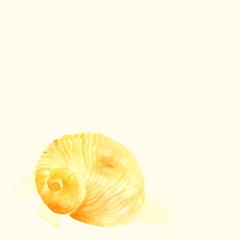 Tidal Impressions VI