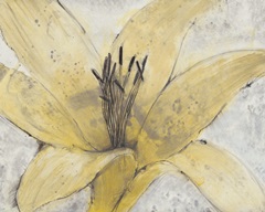 Transparency Flower I