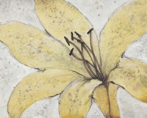 Transparency Flower II