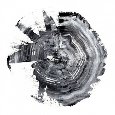Tree Ring Abstract II