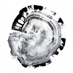 Tree Ring Abstract III