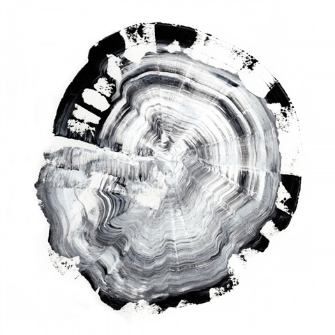 Tree Ring Abstract III