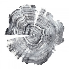 Tree Ring Abstract IV