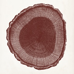 Tree Ring I