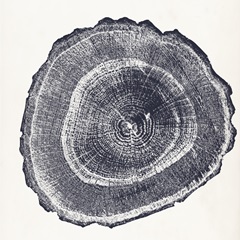 Tree Ring III