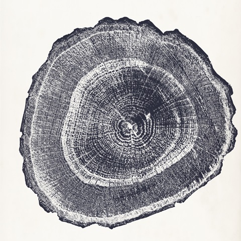 Tree Ring III
