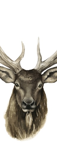 Triptych Elk II
