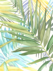 Tropical Pattern II