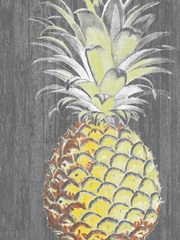 Vibrant Pineapple Splendor II