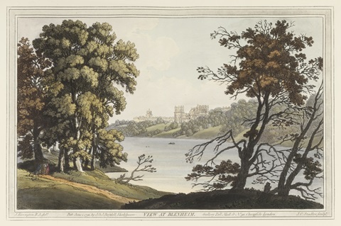 View at Blenheim
