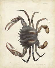 Vintage Crab I