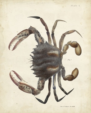Vintage Crab I