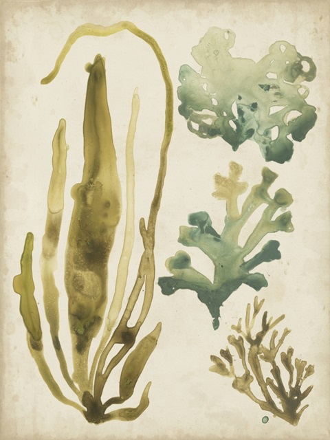 Vintage Sea Fronds III