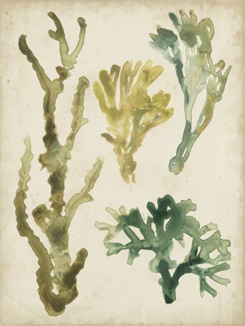 Vintage Sea Fronds V