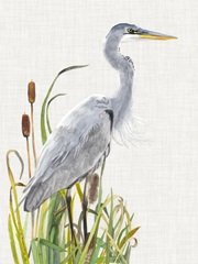 Waterbirds and Cattails I