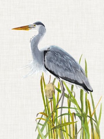 Waterbirds and Cattails II