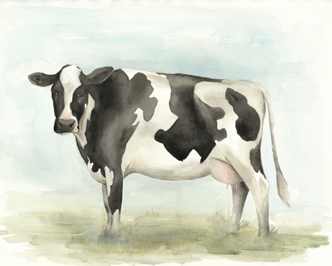 Watercolor Cow II