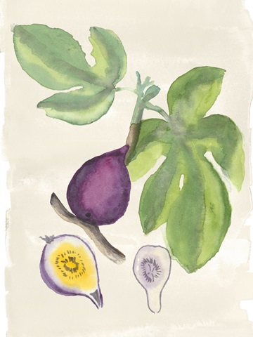 Watercolor Fruit I