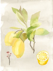 Watercolor Fruit II
