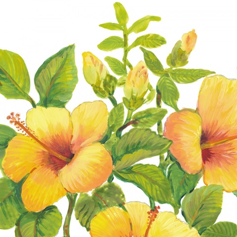 Watercolor Hibiscus I