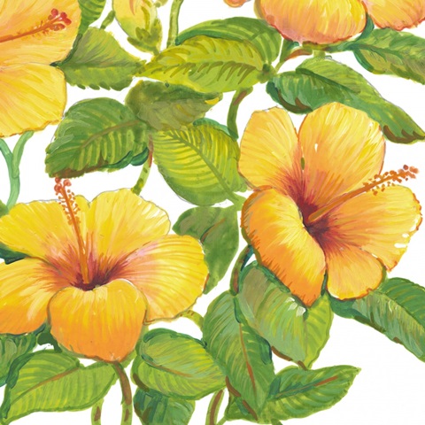 Watercolor Hibiscus IV