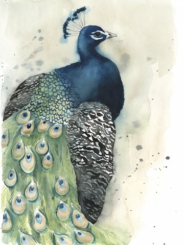 Watercolor Peacock Portrait I