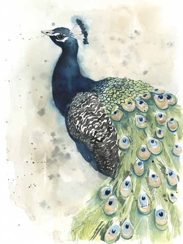Watercolor Peacock Portrait II